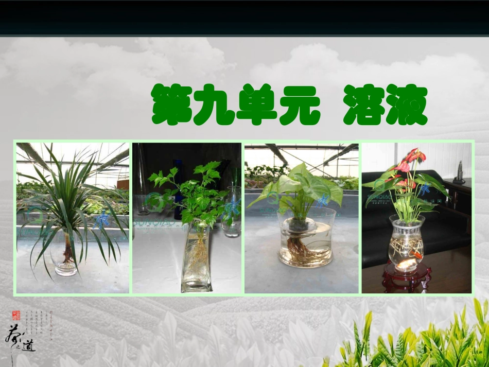 九年级化学第九单元_溶液复习课件_第1页