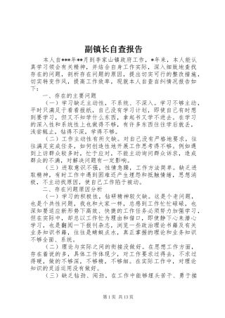 副镇长自查报告