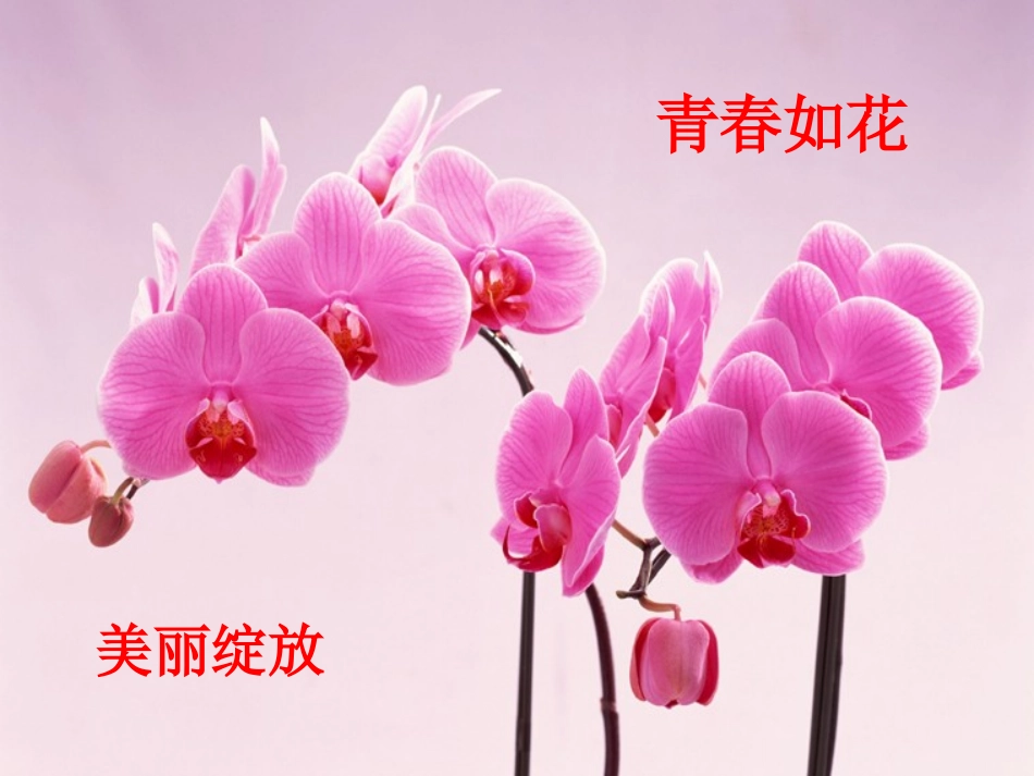 初三考前心理辅导课件_第1页