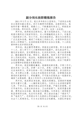 副分局长挂职锻炼报告