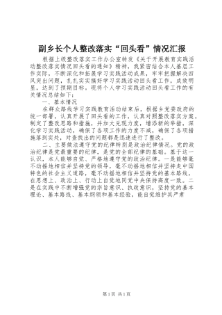 副乡长个人整改落实“回头看”情况汇报