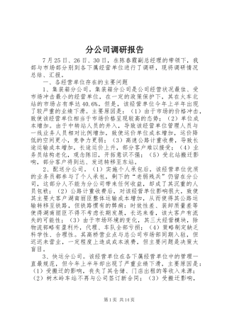 分公司调研报告