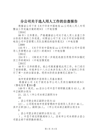 分公司关于选人用人工作的自查报告