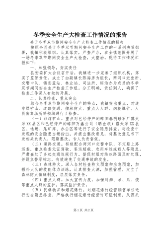 冬季安全生产大检查工作情况的报告