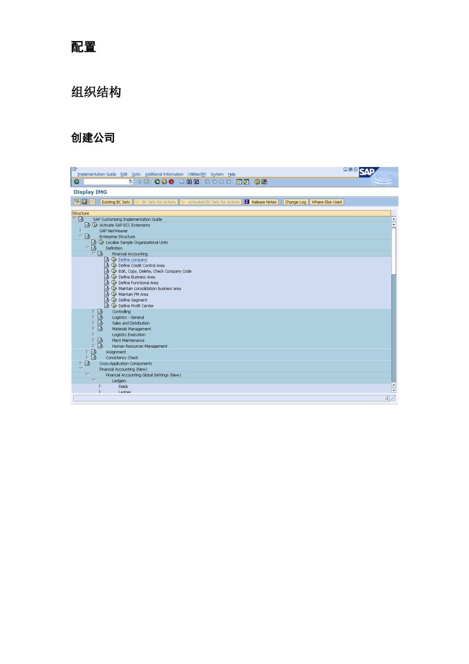 SAP FICO 总账配置及其操作手册_第3页