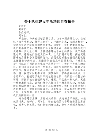关于队伍建设年活动的自查报告