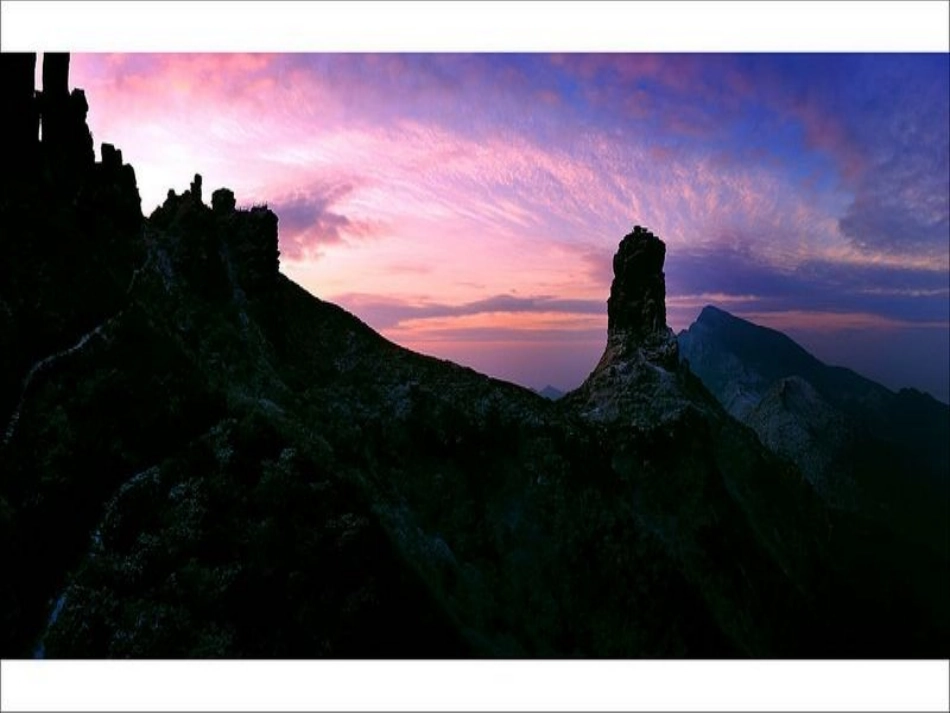 燃料的热值一_第1页