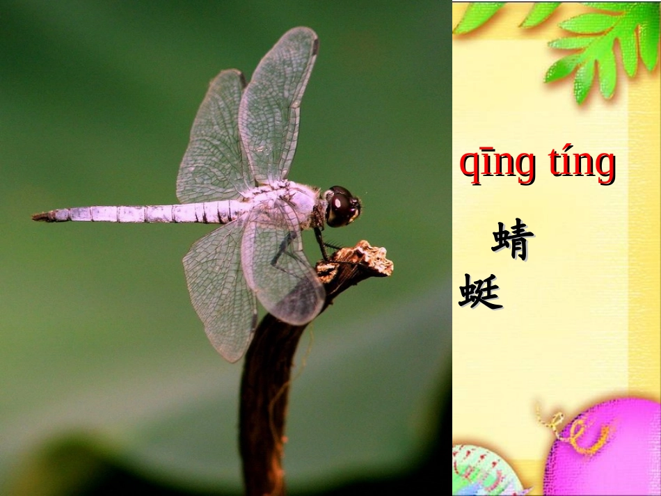 识字4教学课件_第2页