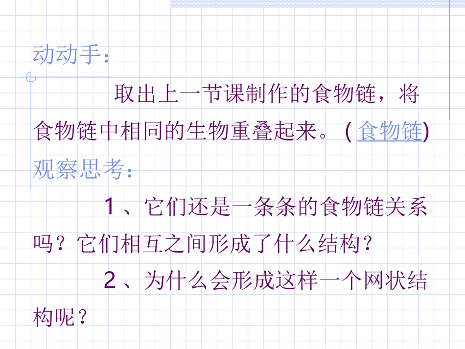 柴琪食物网课件_第2页