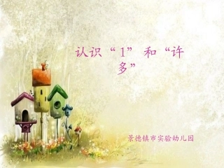 认识“1”和“许多”