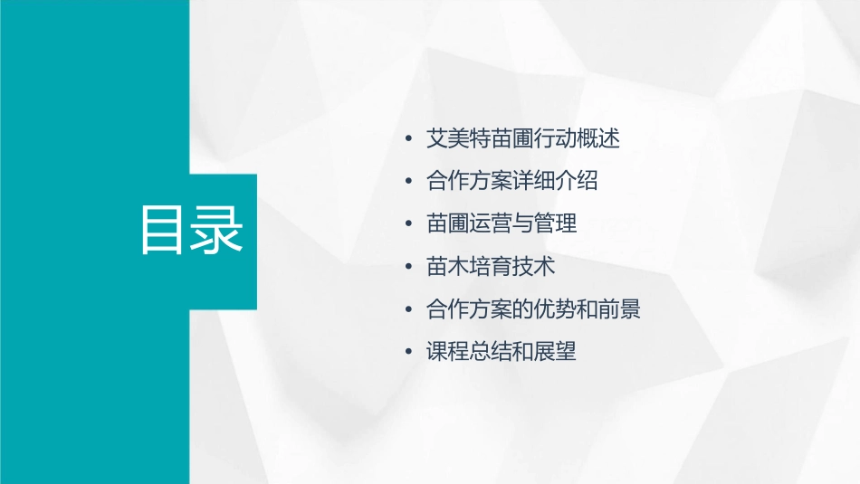 艾美特苗圃行动合作方案课件_第2页