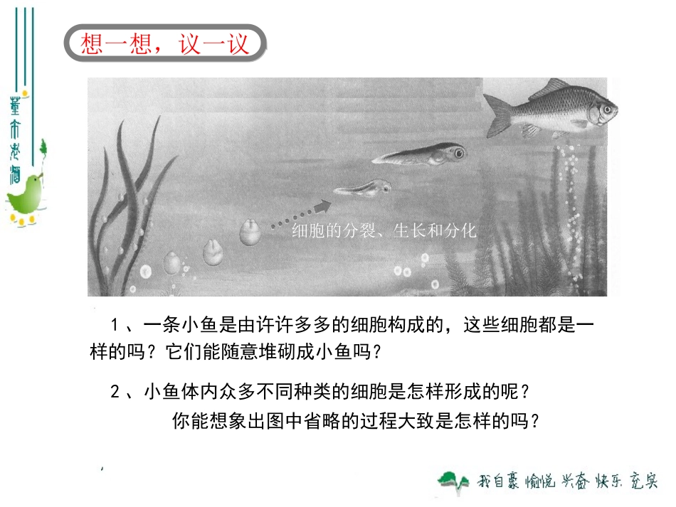 最新人教版222动物体的结构层次_第1页