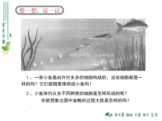 最新人教版222动物体的结构层次