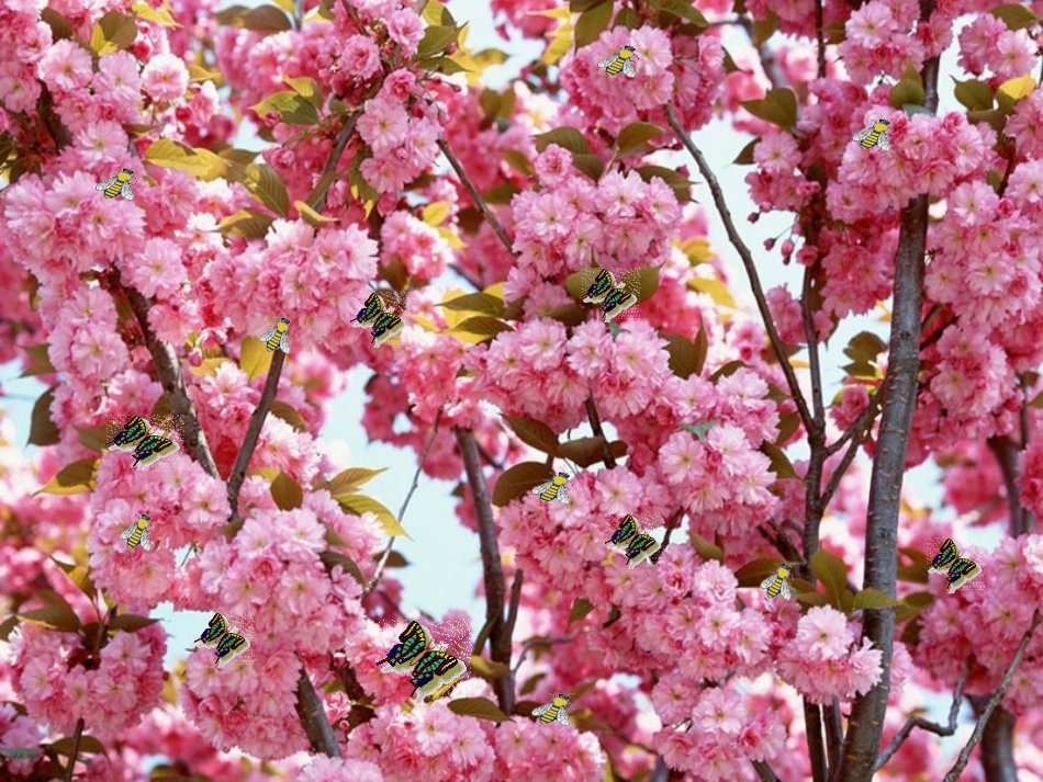 司伟伟《春》说课_第1页