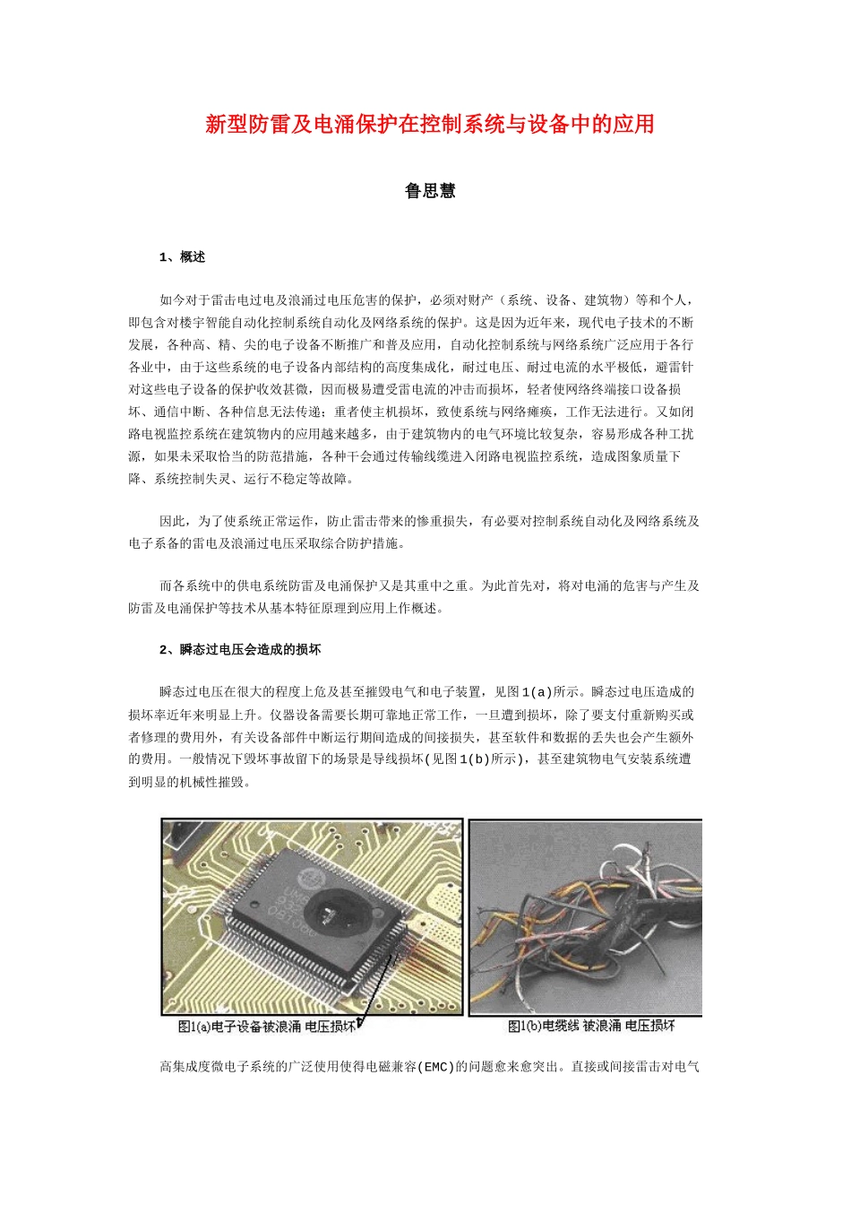 新型防雷及电涌保护在控制系统与设备中的应用_第1页