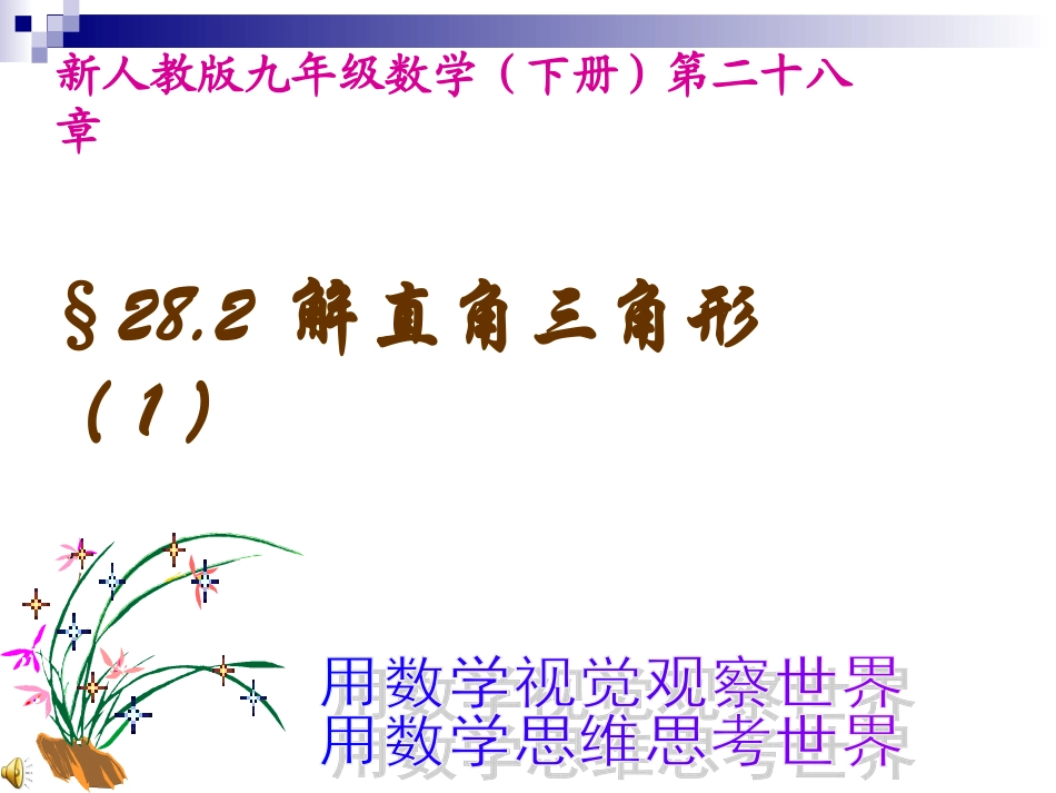 人教新课标九年级下----解直角三角形(1)课件(1)_第1页