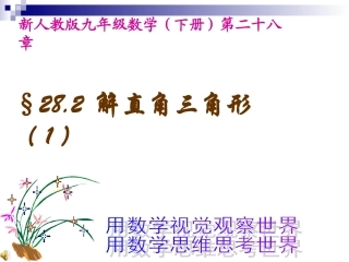 人教新课标九年级下----解直角三角形(1)课件(1)