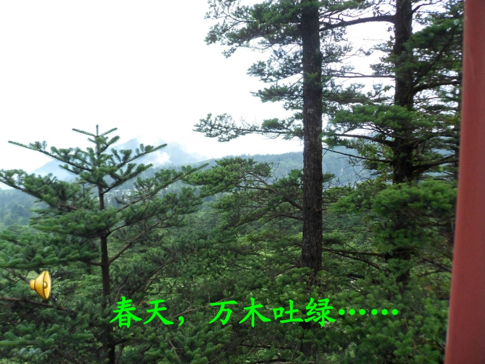 《春晓》课件_第2页