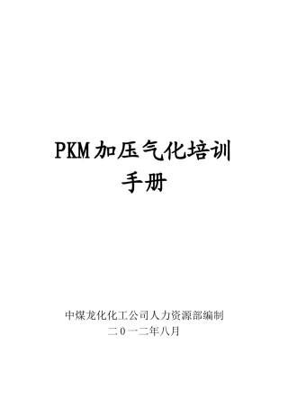 PKM加压气化培训手册