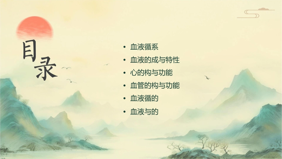 血液循环生理chen课件_第2页
