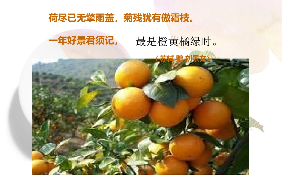 七年级语文秋天4_第2页