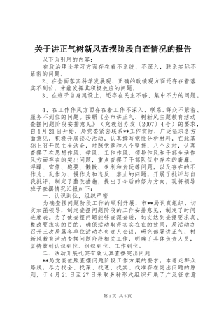 关于讲正气树新风查摆阶段自查情况的报告
