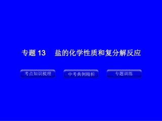 专题13_盐的化学性质和复分解反应