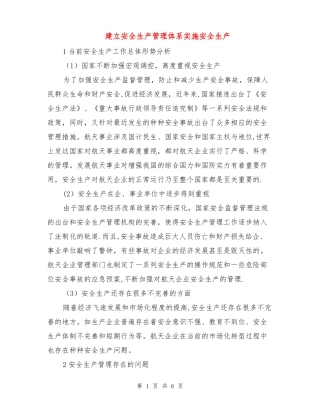 建立安全生产管理体系实施安全生产