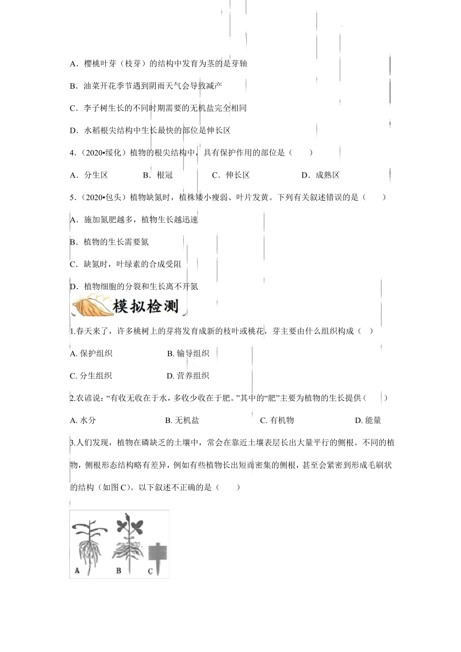 备战中考生物专项练习题——植株的生长全国通用,含答案_第3页