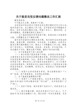 关于脱贫攻坚反馈问题整改工作汇报