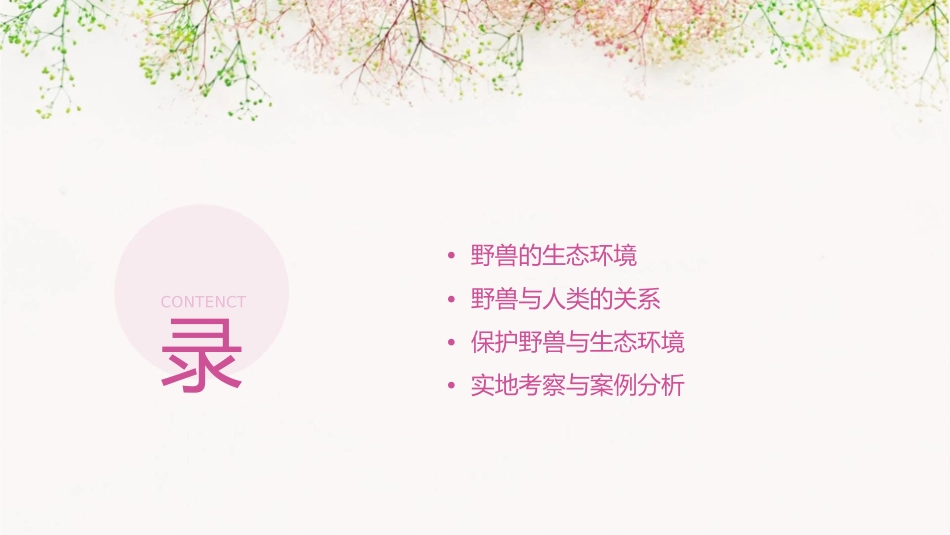 野兽出没的地方课件_第2页