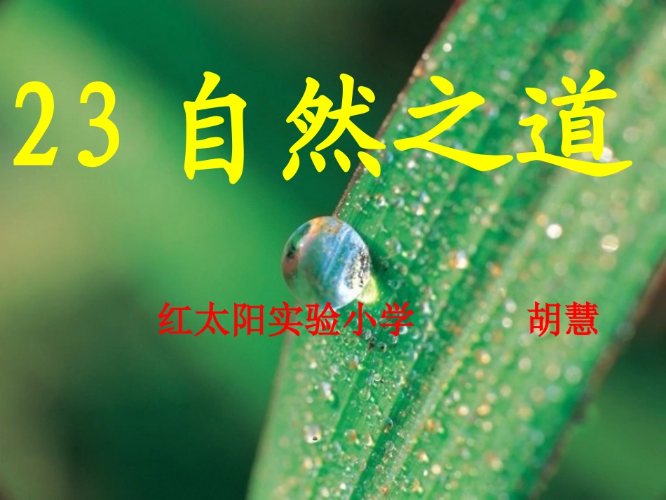 《自然之道》_第1页