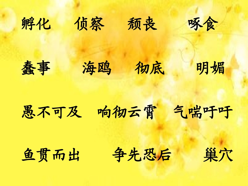 《自然之道》_第3页