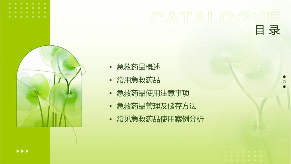 常用急救药品知识课件_第2页