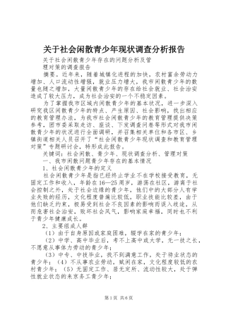 关于社会闲散青少年现状调查分析报告