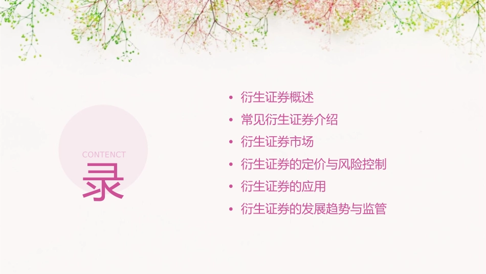 第十三讲衍生证券课件_第2页