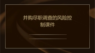 并购尽职调查的风险控制课件