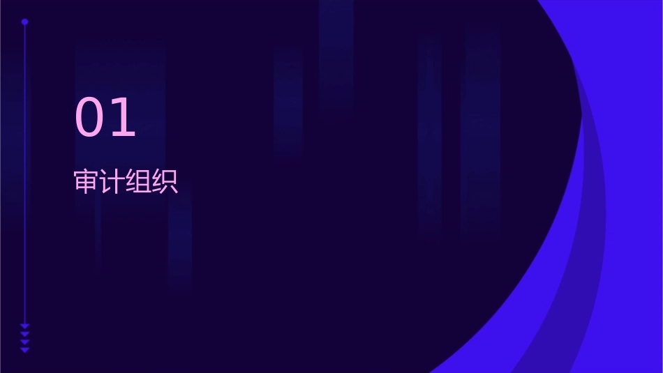 审计组织与审计人员课件_第3页