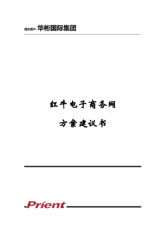 红牛电子商务网方案书(doc)