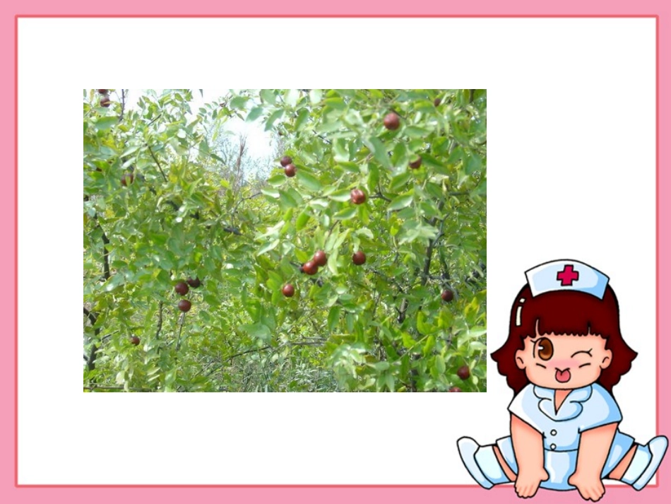 （语文A版）三年级语文上册课件我爱故乡的酸枣树1 (2)_第1页