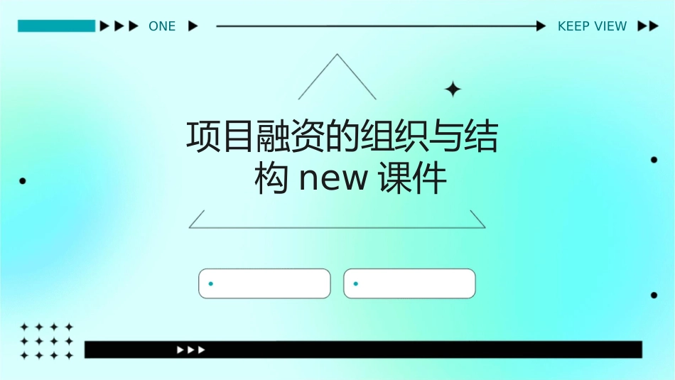 项目融资的组织与结构new课件_第1页