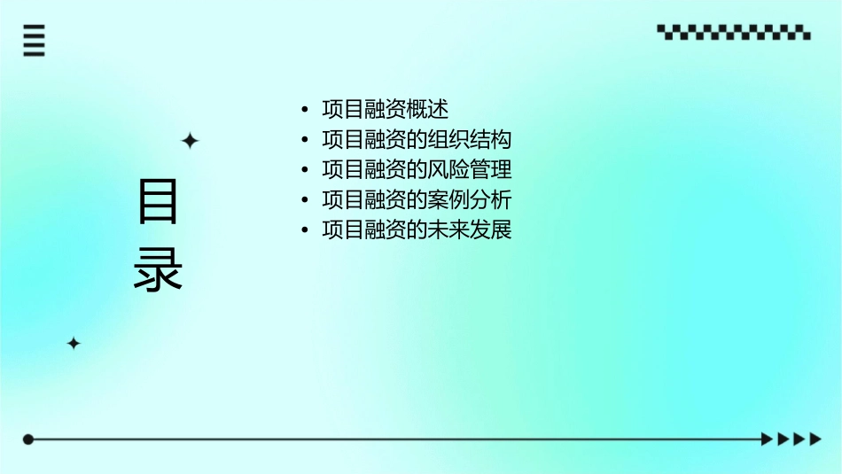 项目融资的组织与结构new课件_第2页