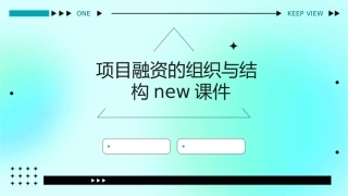 项目融资的组织与结构new课件