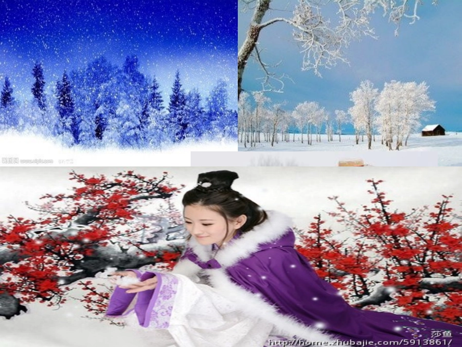 雪公开课演示文稿2_第3页