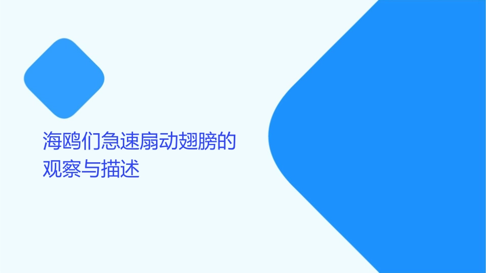 海鸥们急速扇动翅膀课件_第3页