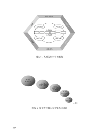 第十二章知识管理咨询工具