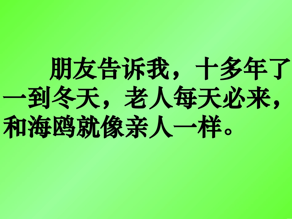老人与海鸥PPT (2)_第2页