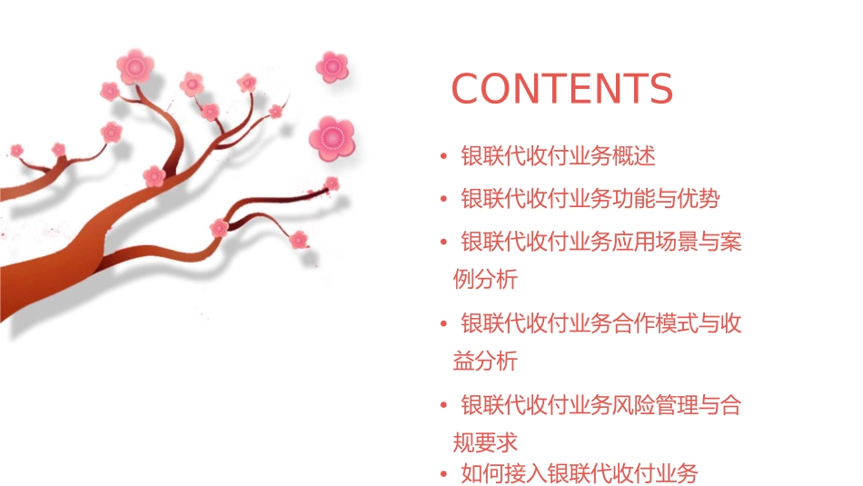 银联代收付业务推广介绍课件_第2页