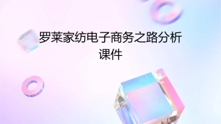 罗莱家纺电子商务之路分析课件