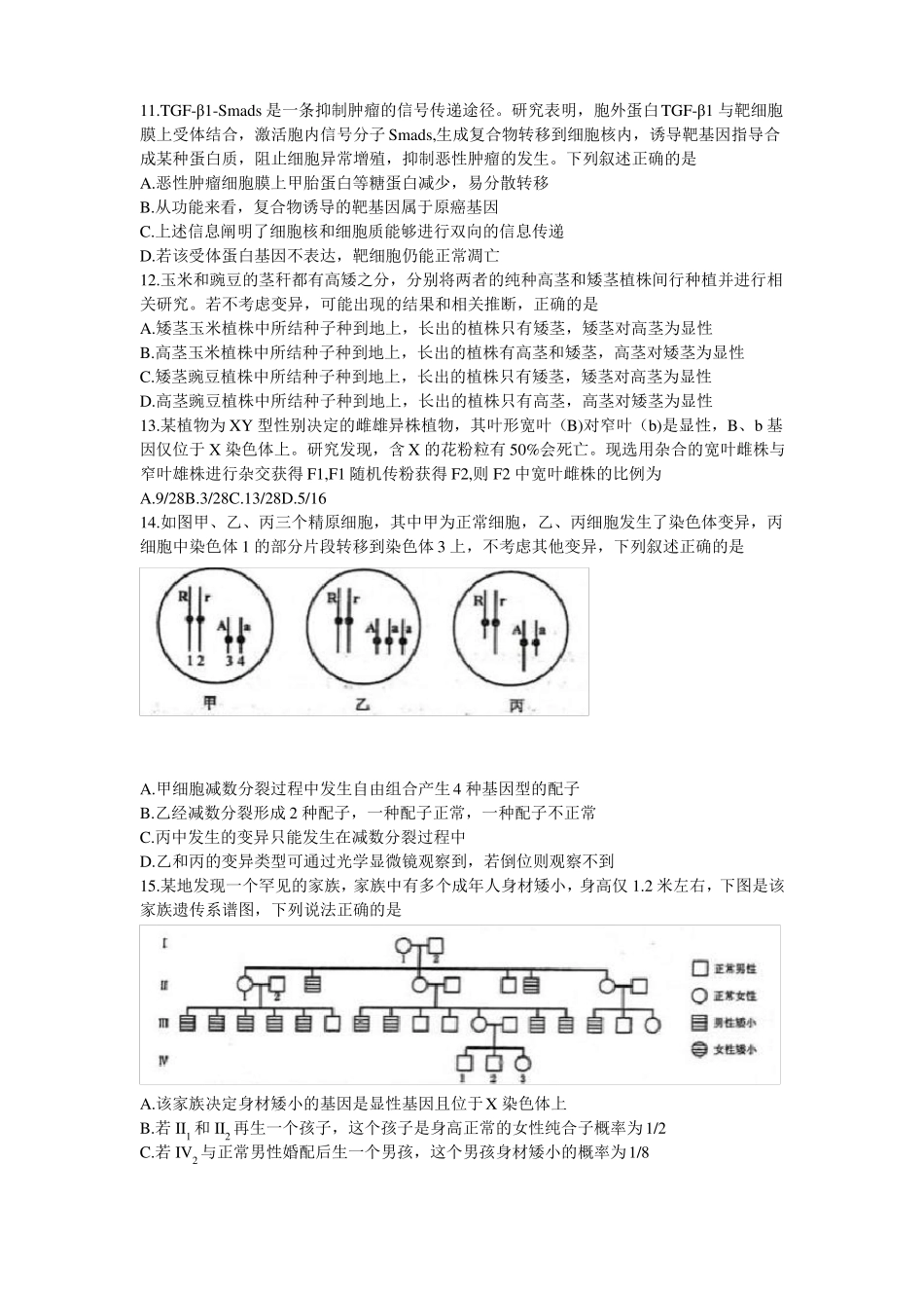 河南郑州2022届高三上学期第一次质量预测一模-1月-生物_第3页